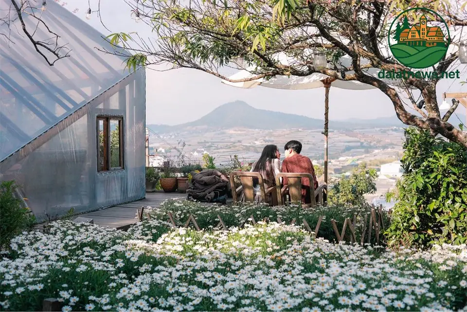 Danh sách các quán cafe vibe Hàn Quốc nổi bật tại Đà Lạt