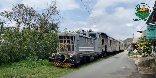 Trải nghiệm trên chuyến tàu cổ Đà Lạt - Trại Mát Trải nghiệm trên chuyến tàu cổ Đà Lạt - Trại Mát
