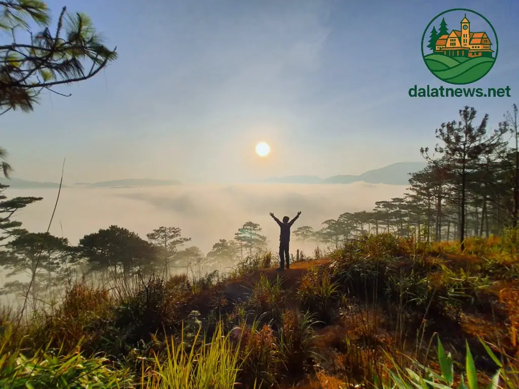 leo dinh bidoup 696624588483d