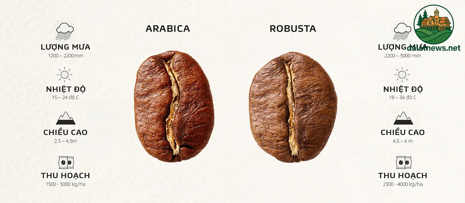 Phân biệt về hình dáng hạt