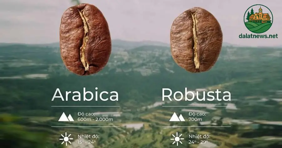 Hương vị và thành phần hóa học